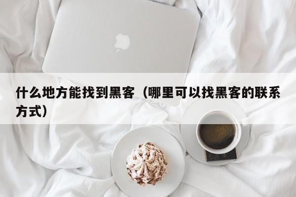 什么地方能找到黑客（哪里可以找黑客的联系方式）