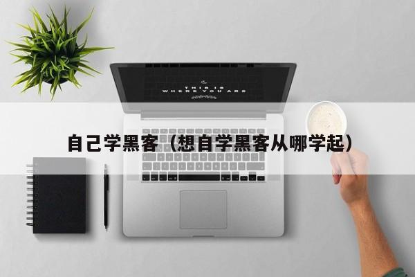自己学黑客（想自学黑客从哪学起）