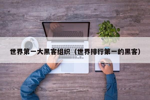 世界第一大黑客组织（世界排行第一的黑客）