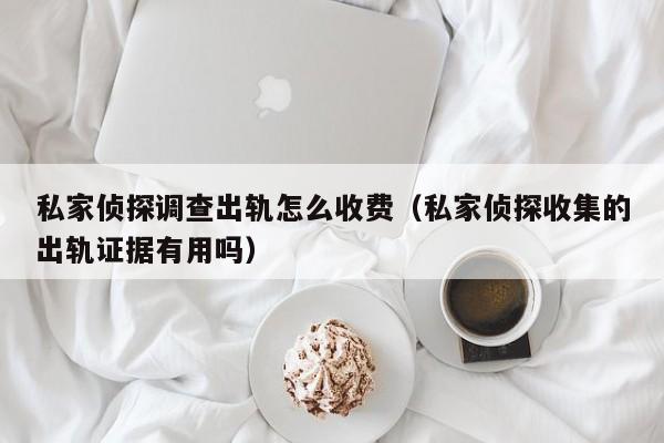 私家侦探调查出轨怎么收费（私家侦探收集的出轨证据有用吗）