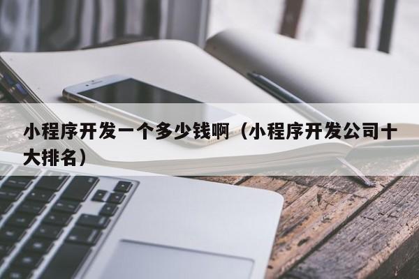 小程序开发一个多少钱啊（小程序开发公司十大排名）
