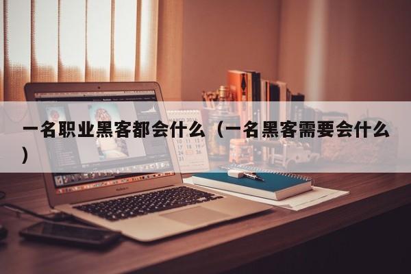 一名职业黑客都会什么（一名黑客需要会什么）