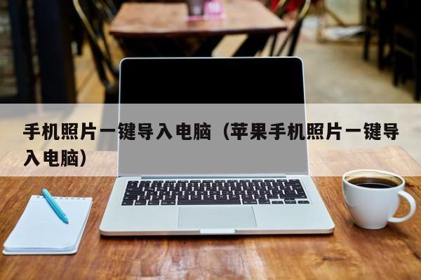 手机照片一键导入电脑（苹果手机照片一键导入电脑）