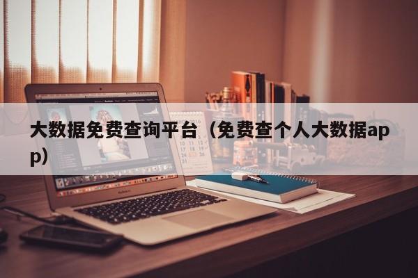 大数据免费查询平台（免费查个人大数据app）