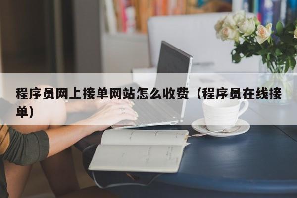 程序员网上接单网站怎么收费（程序员在线接单）