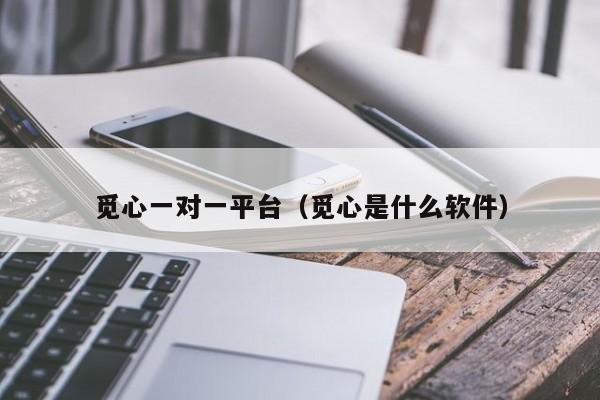觅心一对一平台（觅心是什么软件）