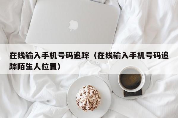 在线输入手机号码追踪（在线输入手机号码追踪陌生人位置）