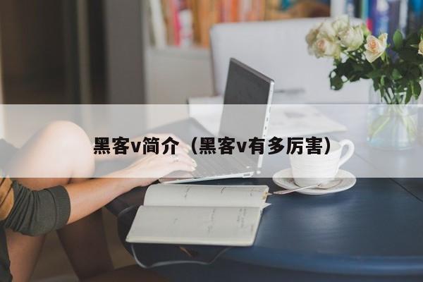 黑客v简介（黑客v有多厉害）