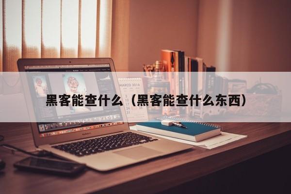 黑客能查什么（黑客能查什么东西）