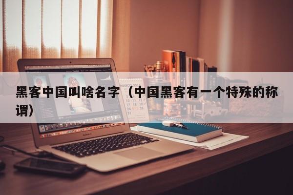 黑客中国叫啥名字（中国黑客有一个特殊的称谓）
