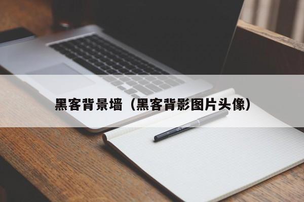 黑客背景墙（黑客背影图片头像）