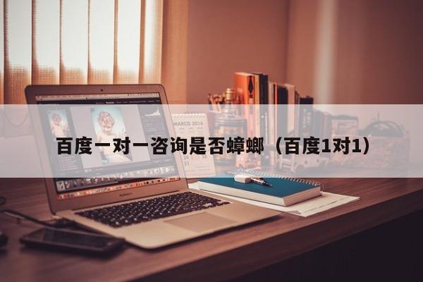 百度一对一咨询是否蟑螂（百度1对1）