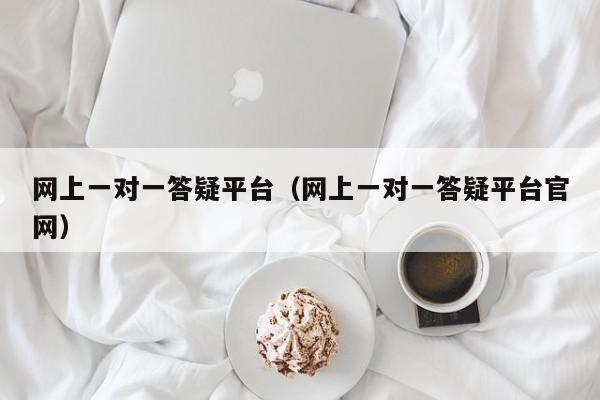 网上一对一答疑平台（网上一对一答疑平台官网）