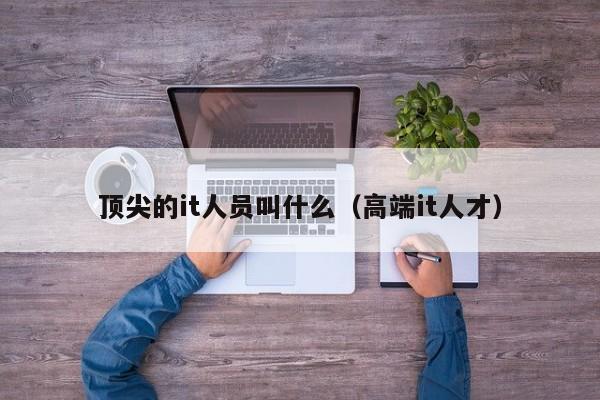 顶尖的it人员叫什么（高端it人才）