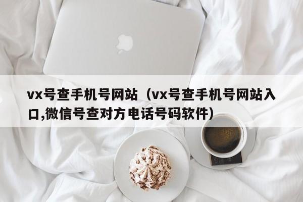 vx号查手机号网站（vx号查手机号网站入口,微信号查对方电话号码软件）