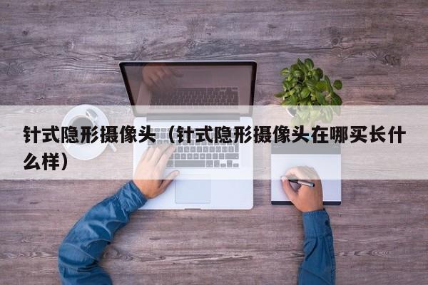 针式隐形摄像头（针式隐形摄像头在哪买长什么样）