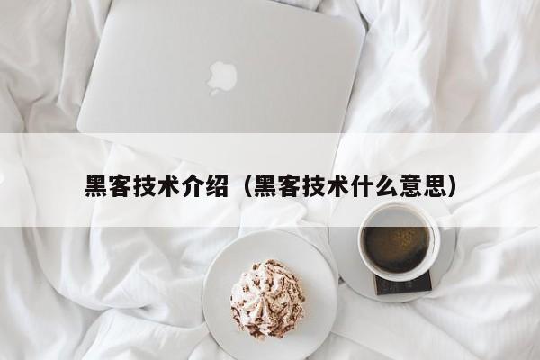 黑客技术介绍（黑客技术什么意思）