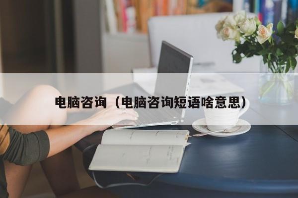 电脑咨询（电脑咨询短语啥意思）