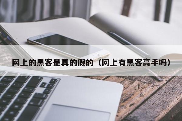 网上的黑客是真的假的（网上有黑客高手吗）