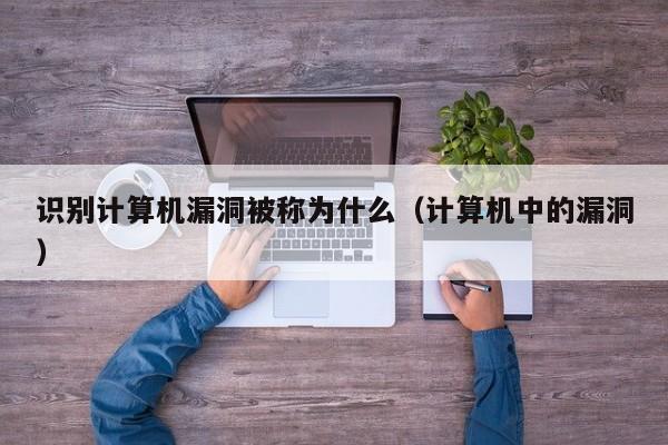 识别计算机漏洞被称为什么（计算机中的漏洞）