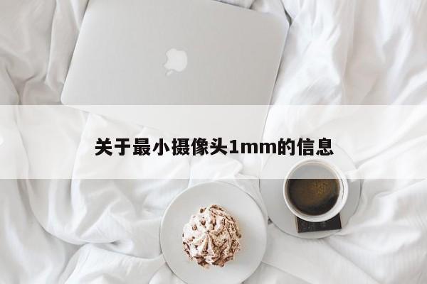 关于最小摄像头1mm的信息